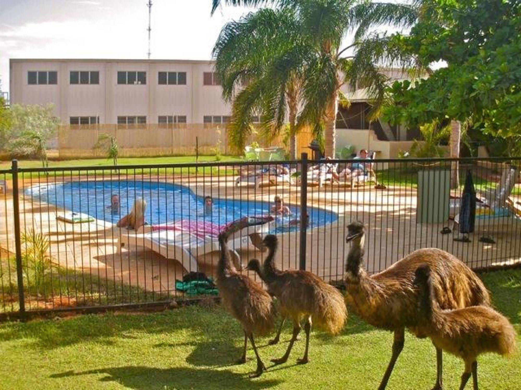 Sea Breeze Resort Exmouth Fasiliteter bilde